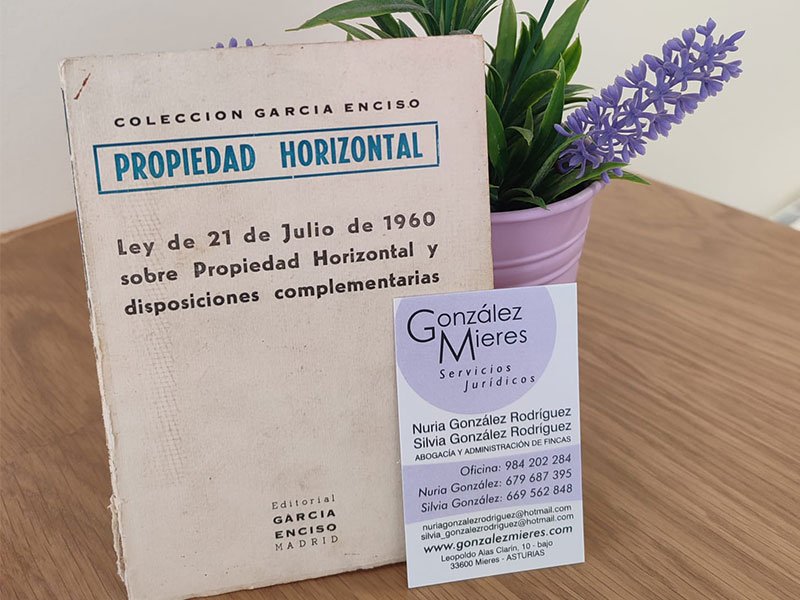 imagen propiedad horizontal Mieres